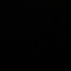 Meet your Posher, Daisy